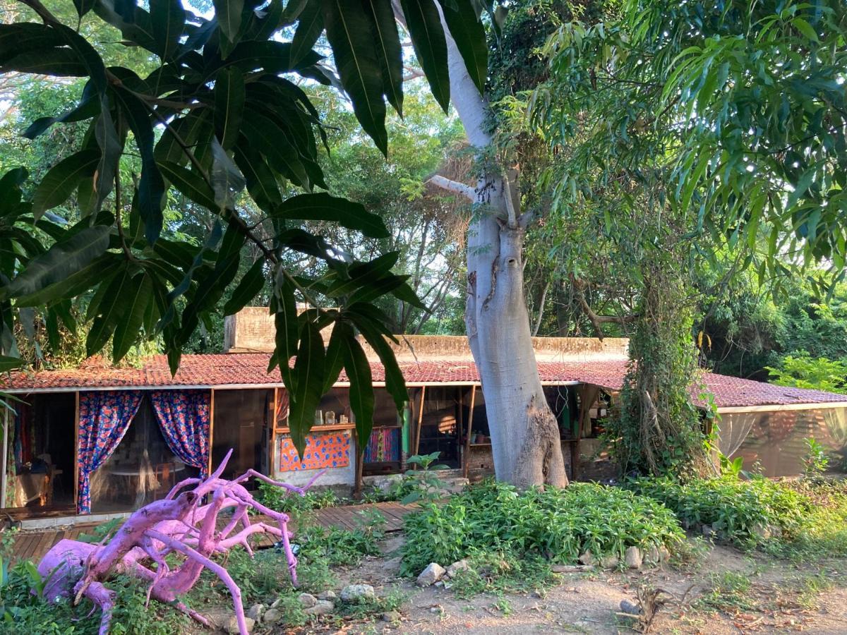 Planta Glamp Farm Hotel Santa María Huatulco Екстериор снимка