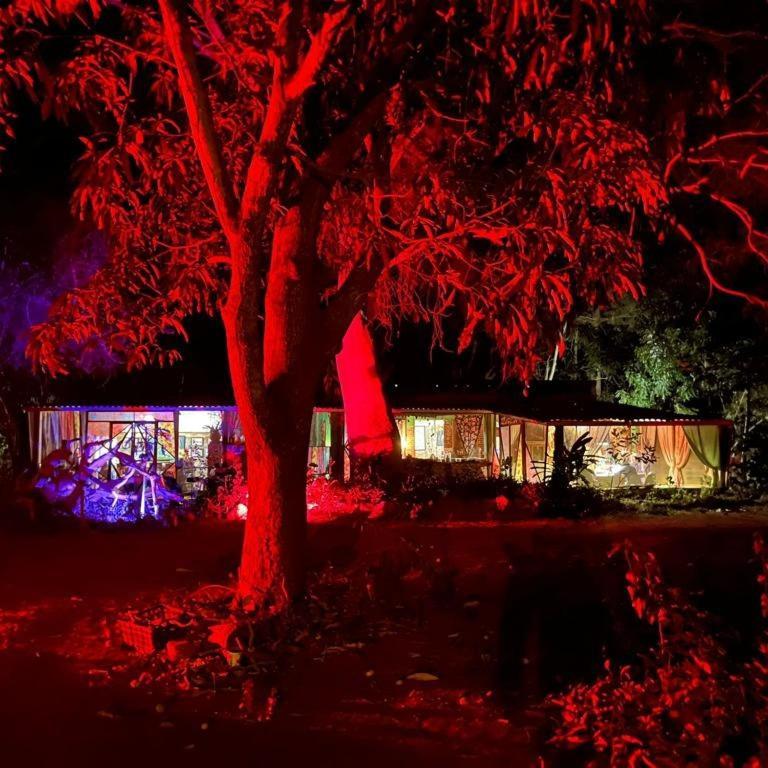 Planta Glamp Farm Hotel Santa María Huatulco Екстериор снимка
