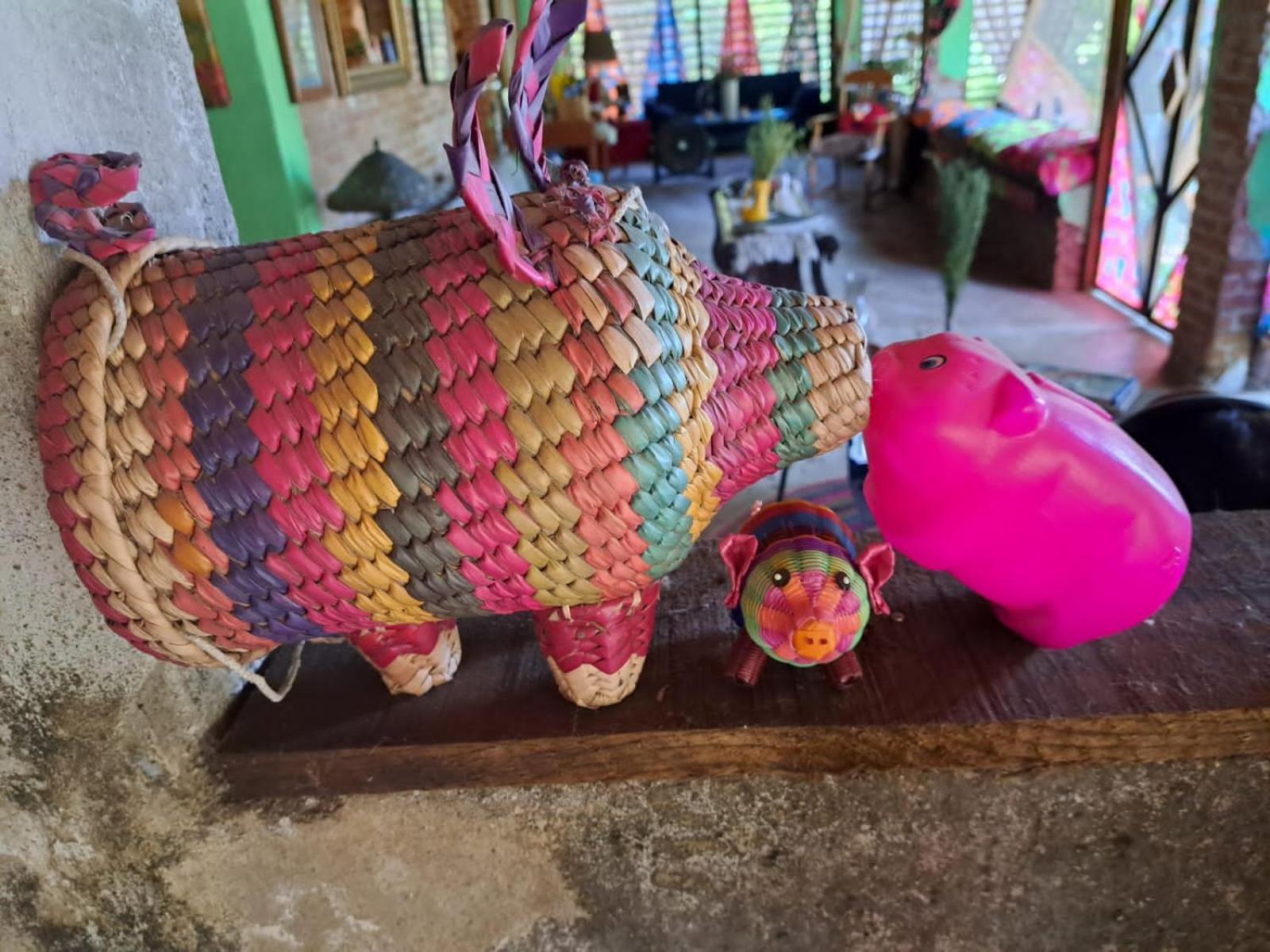 Planta Glamp Farm Hotel Santa María Huatulco Екстериор снимка